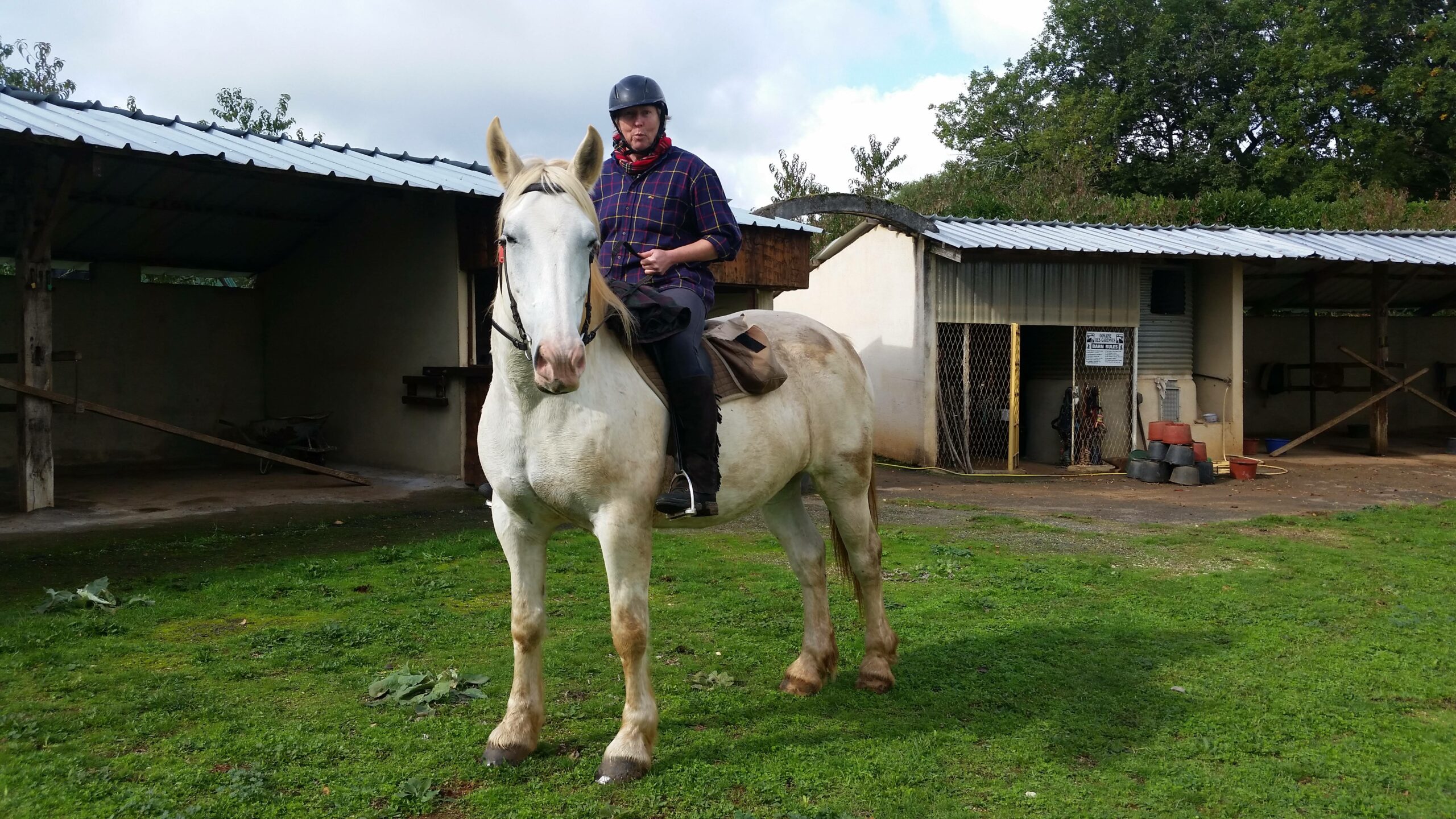 Balade à cheval - Promenades pour cavaliers autonomes